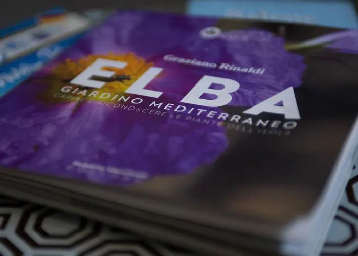 Padullella, Mare E Sole!! Holiday home